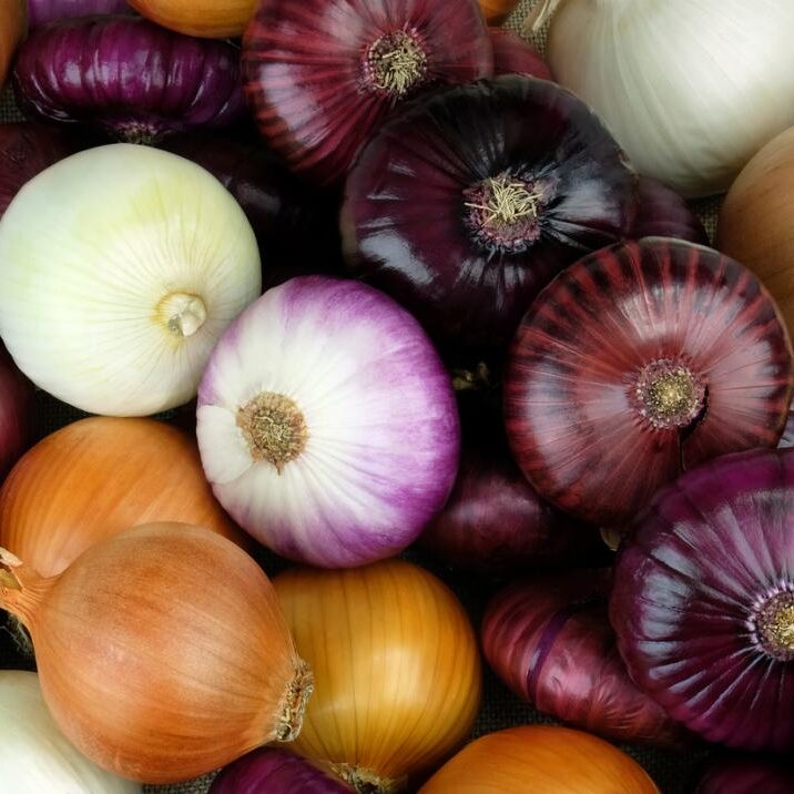 Turkish onion exporter
Turkish onion wholesaler
Turkish onion supplier