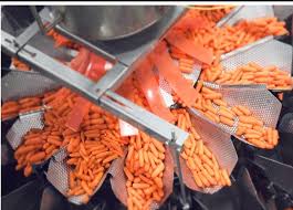 turkish carrot Turkish carrot exporters Turkish carrot wholesaler Turkish carrot suppliers